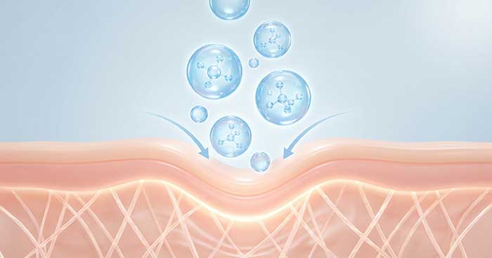 Skin barrier protective ingredients